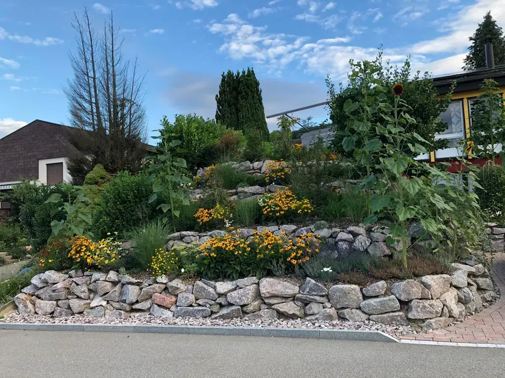 Gartenbau Dielsdorf - Bepflanzung