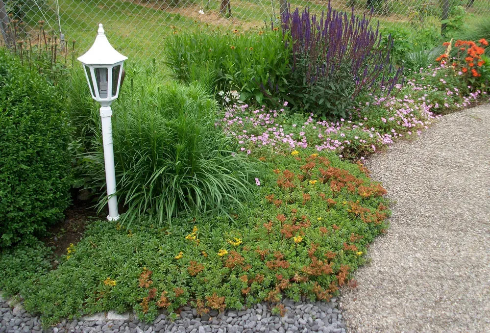 Gartengestaltung Rümlang - Feinschliff