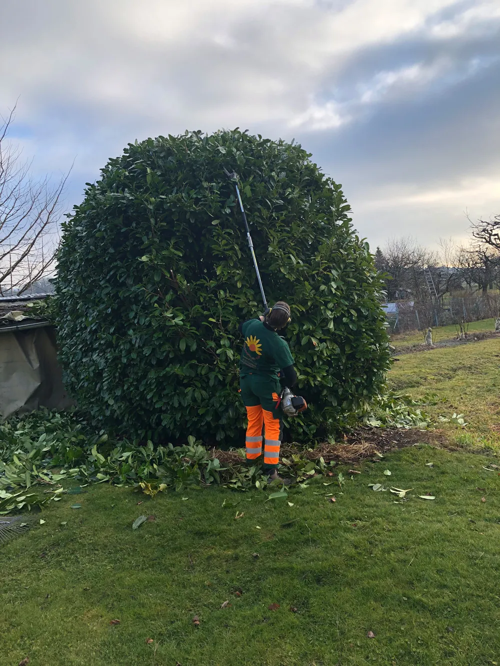 Gartenpflege Zürich - Streucher schneiden
