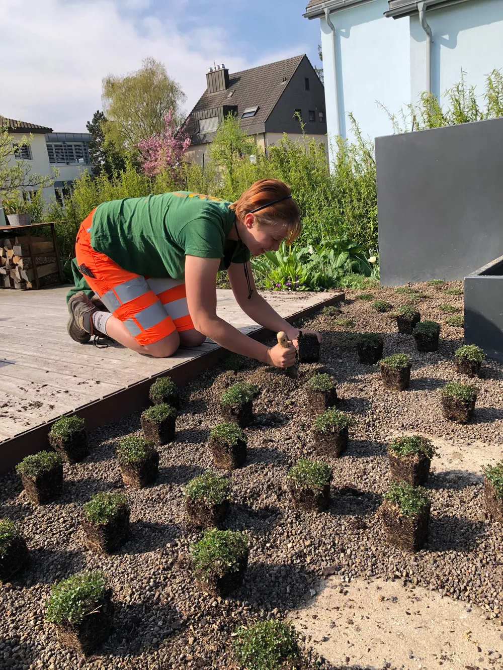 Gartenpflege Zürich - Unkraut und Beetpflege