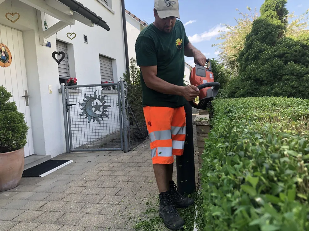 Gartenpflege Zürich - Heckenschnitt