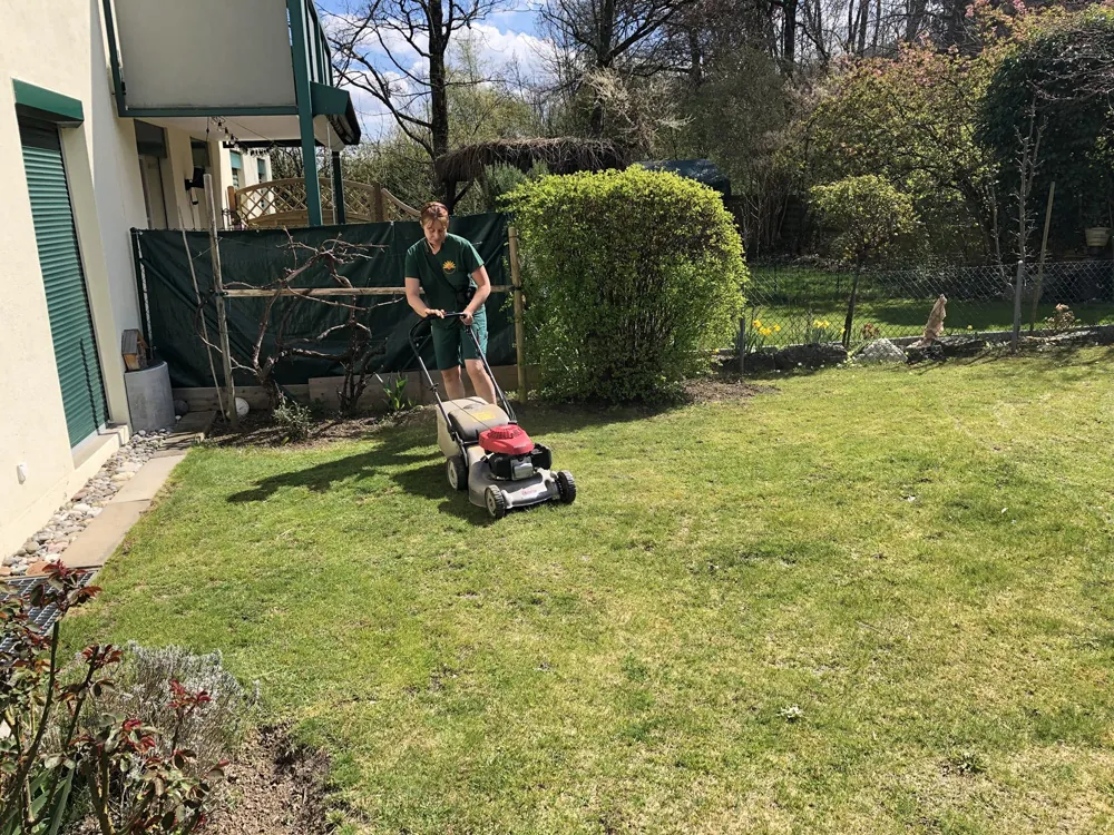 Gartenpflege Zürich - Rasenmähen