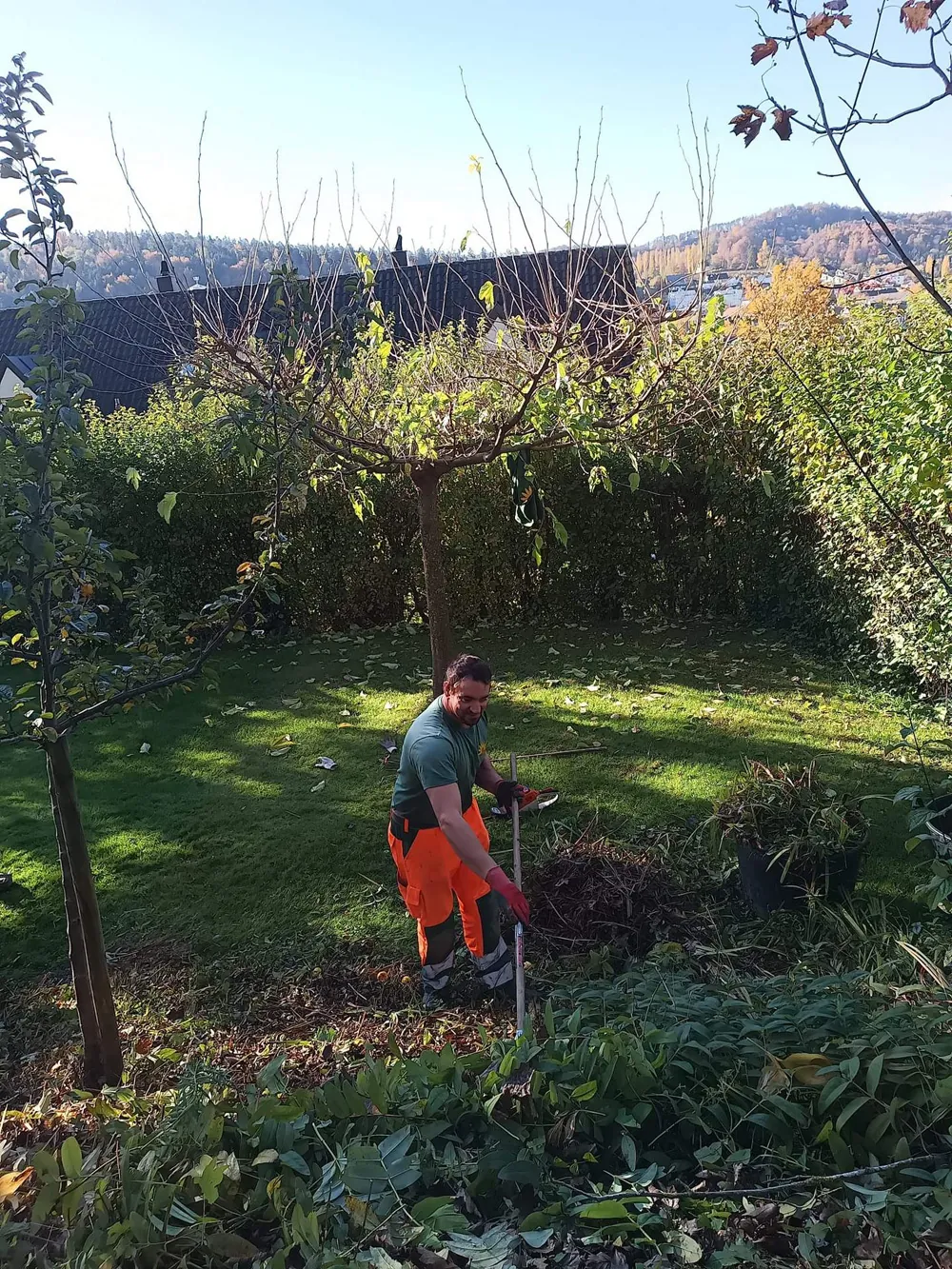 Gartenpflege Zürich - Saison Pflege